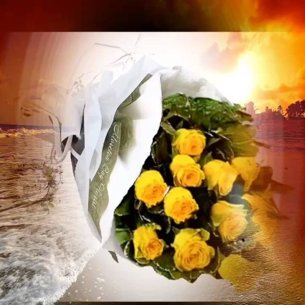 Meet your Posher, Prîňçêsş